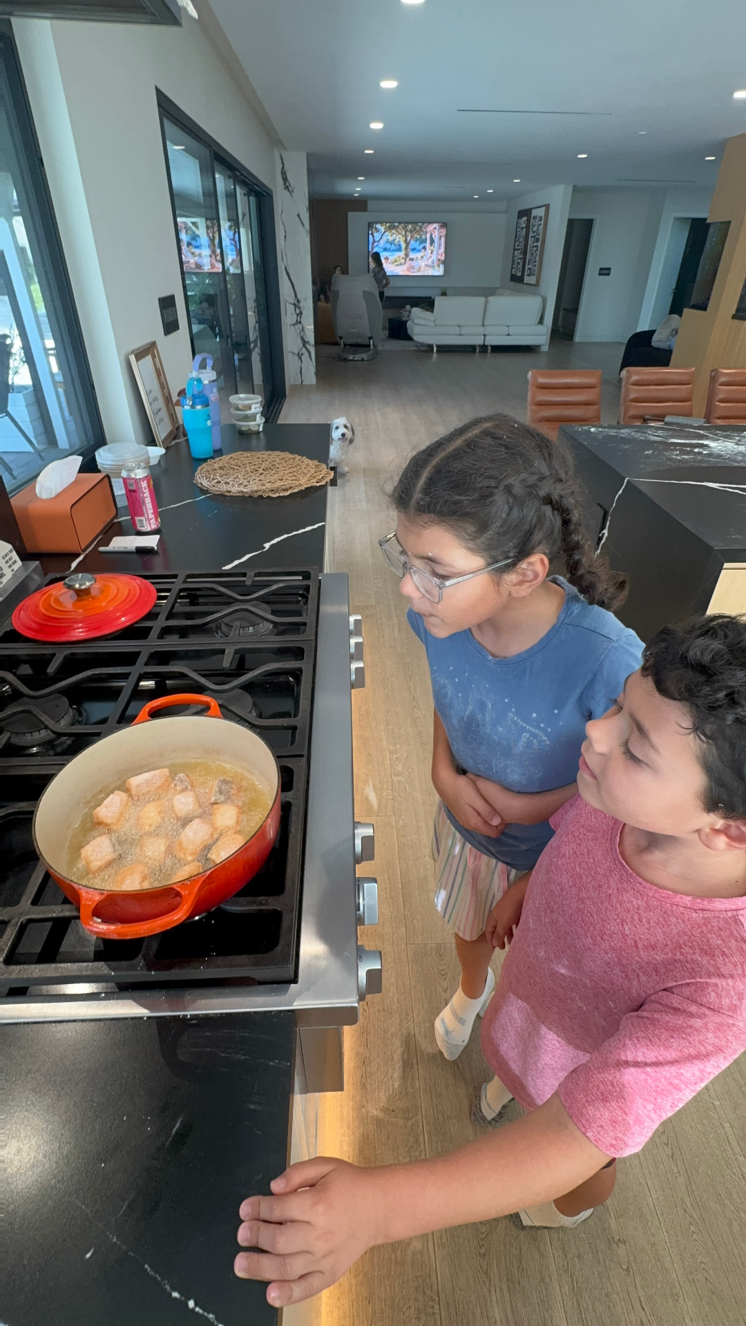 Young cooks watching a dish sizzle on the stove